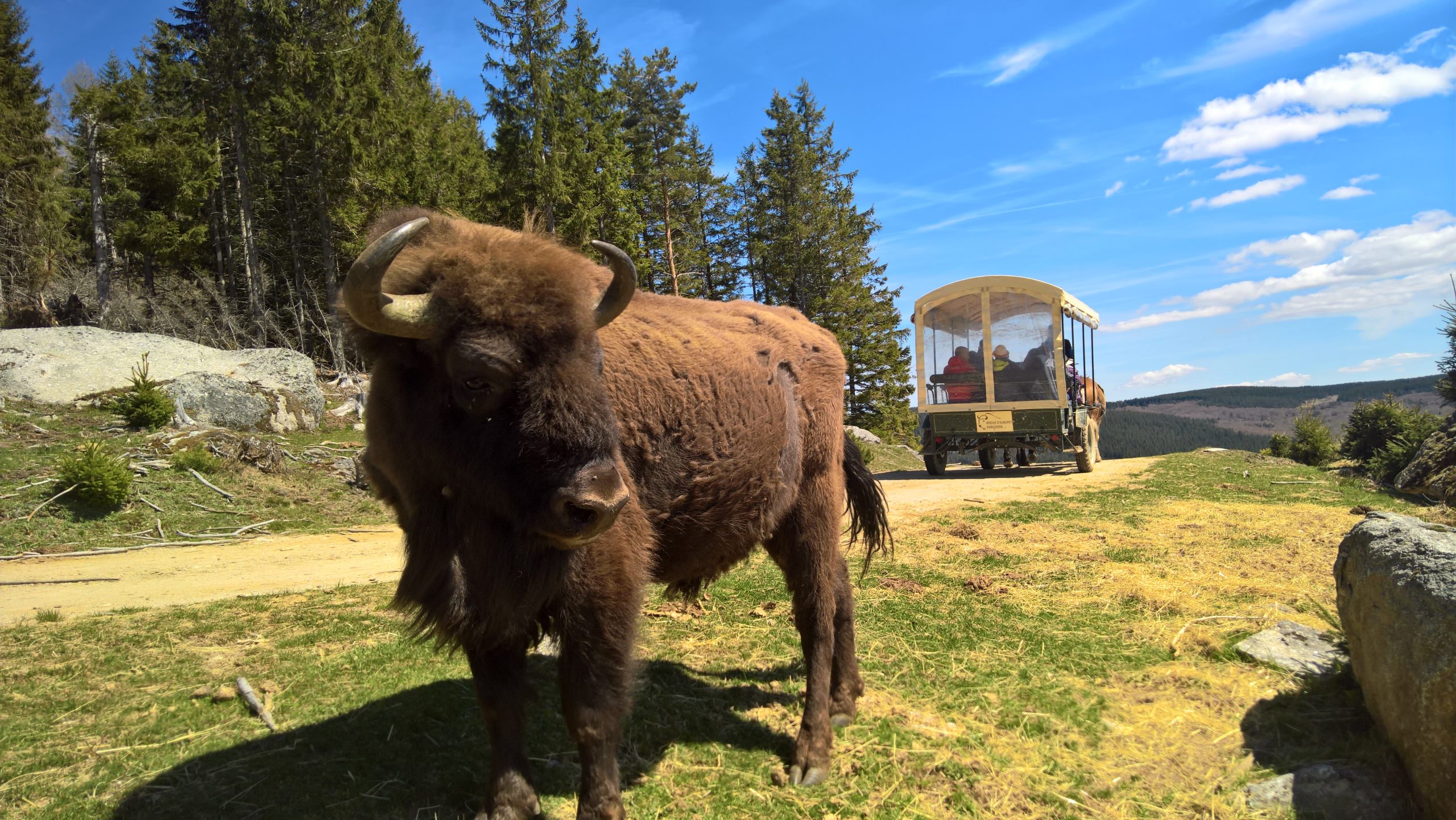 Parc des Bisons