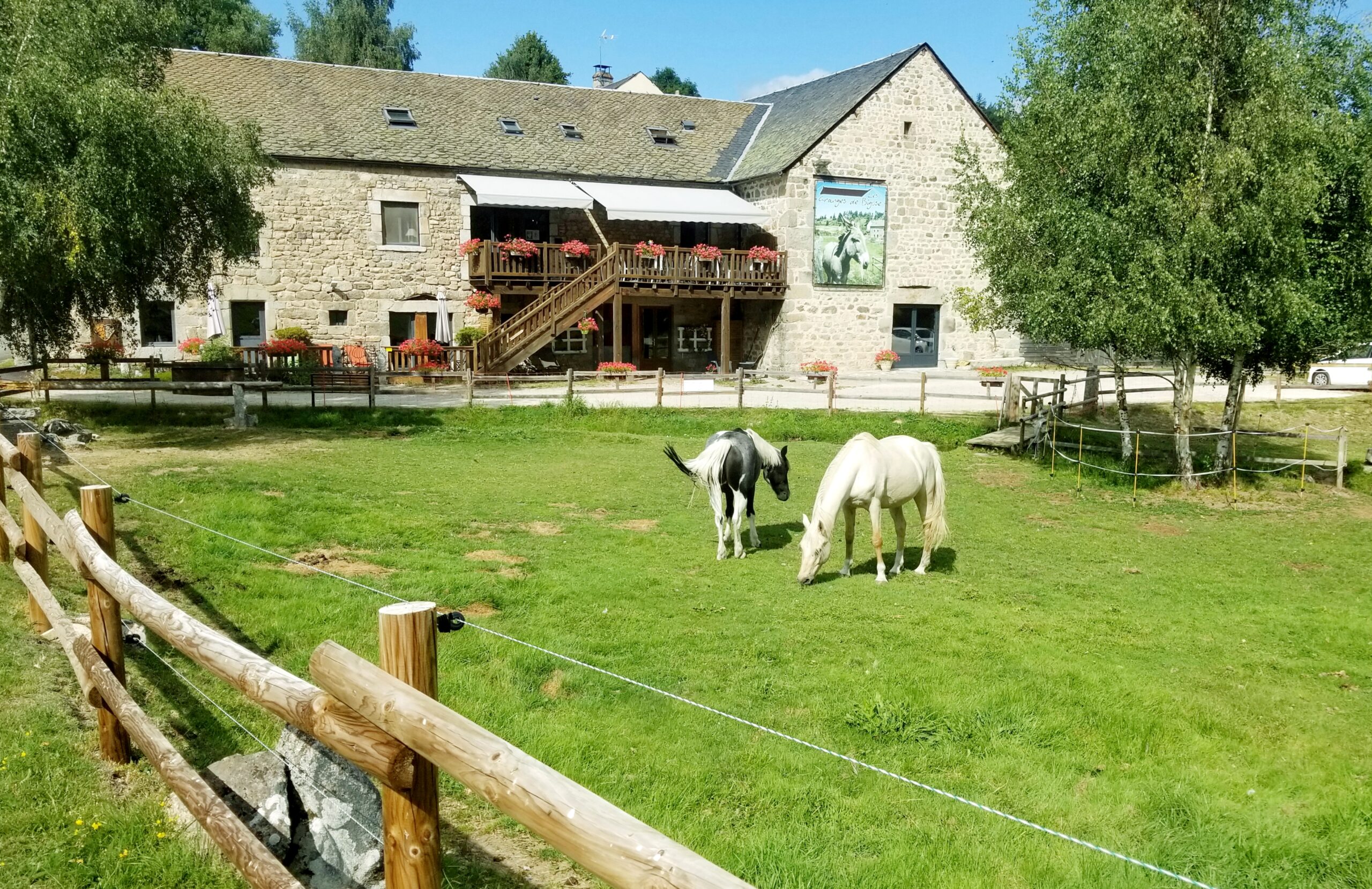 Cheval - Granges de Bigose